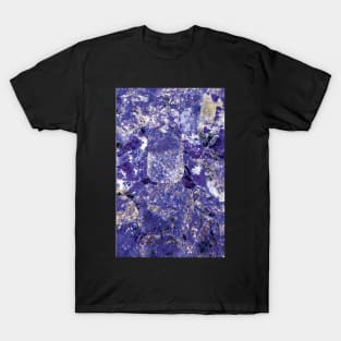 Sodalite T-Shirt